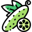 Cucumber icône 64x64