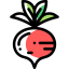 Radishes icon 64x64