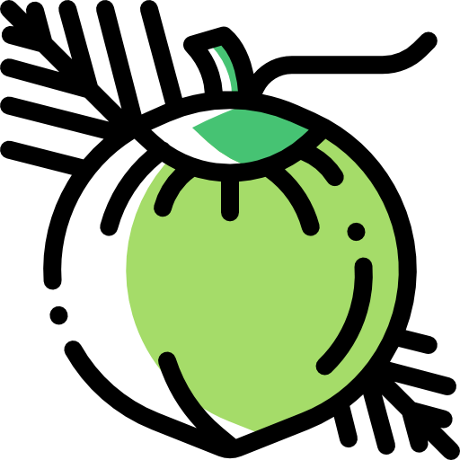 Coconut icon