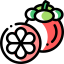Mangosteen icon 64x64