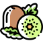 Kiwi icon 64x64