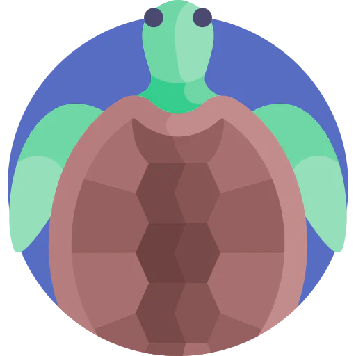 Turtle icon
