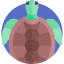 Turtle icon 64x64