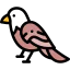 Eagle Ikona 64x64