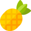 Pineapple 图标 64x64