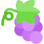 Grape 图标 64x64