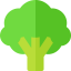 Broccoli 图标 64x64