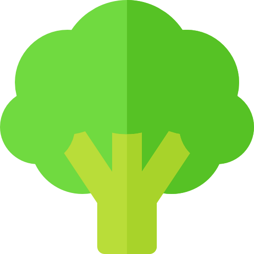 Broccoli 상