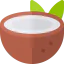 Coconut 图标 64x64