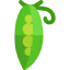 Peas 图标 64x64
