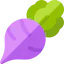 Radish 图标 64x64