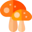 Mushroom 图标 64x64