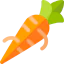 Carrot 图标 64x64