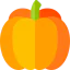 Pumpkin 图标 64x64