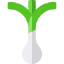 Spring onion 图标 64x64