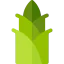 Bamboo 图标 64x64