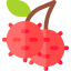 Rambutan 图标 64x64