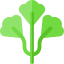 Parsley 图标 64x64