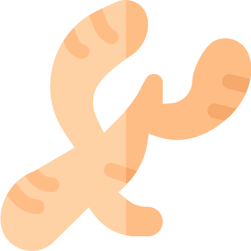 Ginger icon