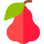 Rose apple 图标 64x64