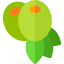 Olive 图标 64x64