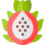 Pitaya 图标 64x64