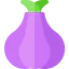 Onion 图标 64x64