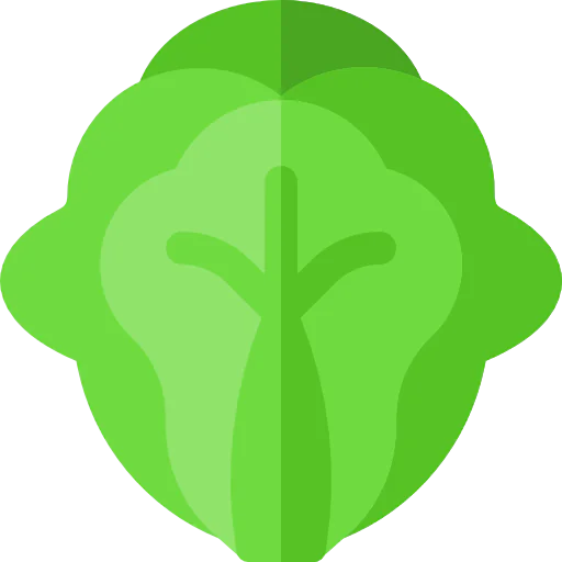 Cabbage icon