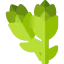 Asparagus 图标 64x64