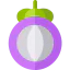 Mangosteen 图标 64x64
