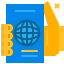 International passport ícono 64x64