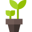 Plant icon 64x64