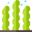 Seaweed іконка 64x64