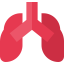 Lungs biểu tượng 64x64