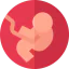 Embryo іконка 64x64