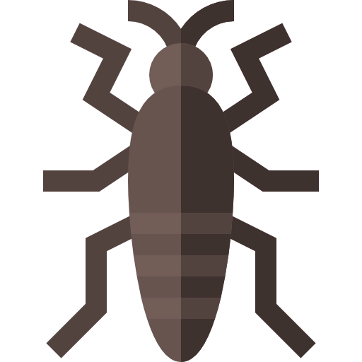 Insect icon