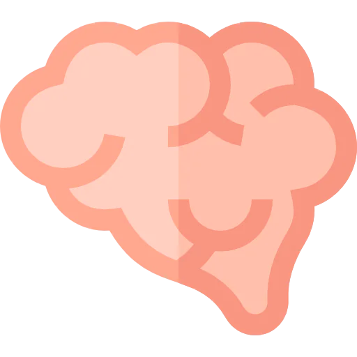 Brain icon