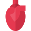 Heart 图标 64x64