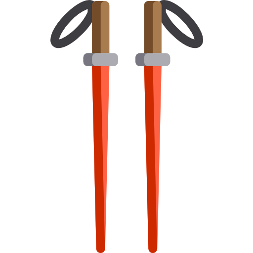 Pole icon