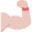 Muscles icon 64x64