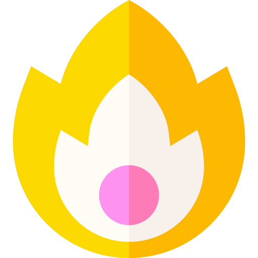 Fire icon