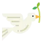 Dove icon 64x64