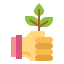 Sprout icon 64x64
