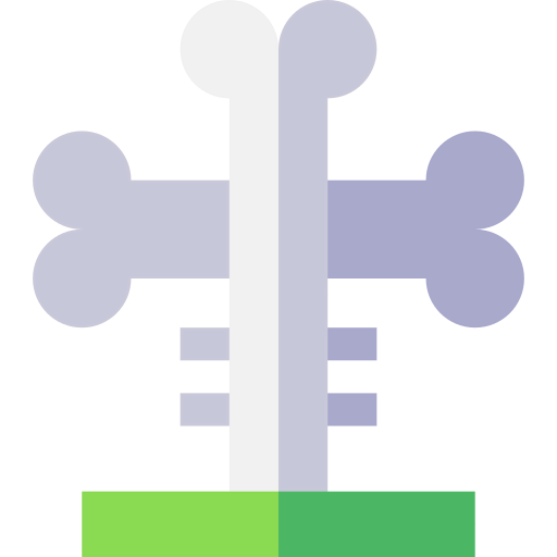Bones icon