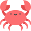 Crab icône 64x64