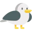 Seagull icône 64x64