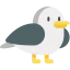 Seagull 图标 64x64