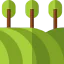 Field icon 64x64