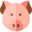 Pig icon 64x64