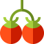 Tomatoes icon 64x64